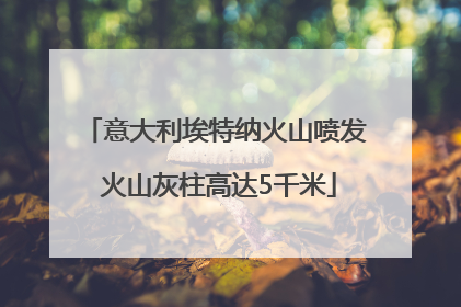 意大利埃特纳火山喷发 火山灰柱高达5千米